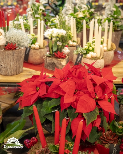 Montages floraux de Noël avec poinsettias et bougies rouges et blanches.